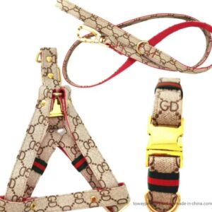 leash & harness (pattern)