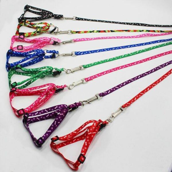 leash & harness (silky) - Image 3