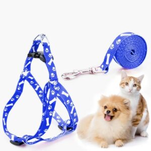leash & harness (silky)