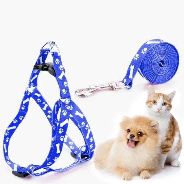 leash & harness (silky)